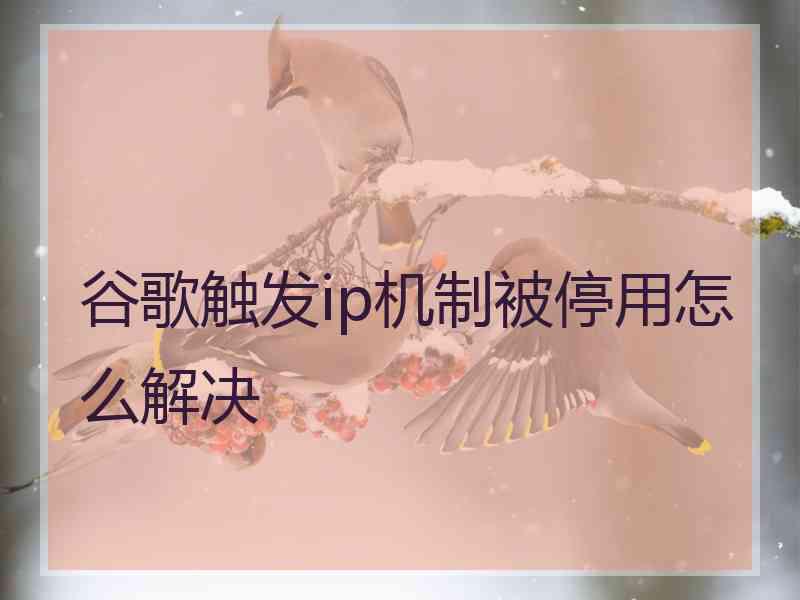 谷歌触发ip机制被停用怎么解决