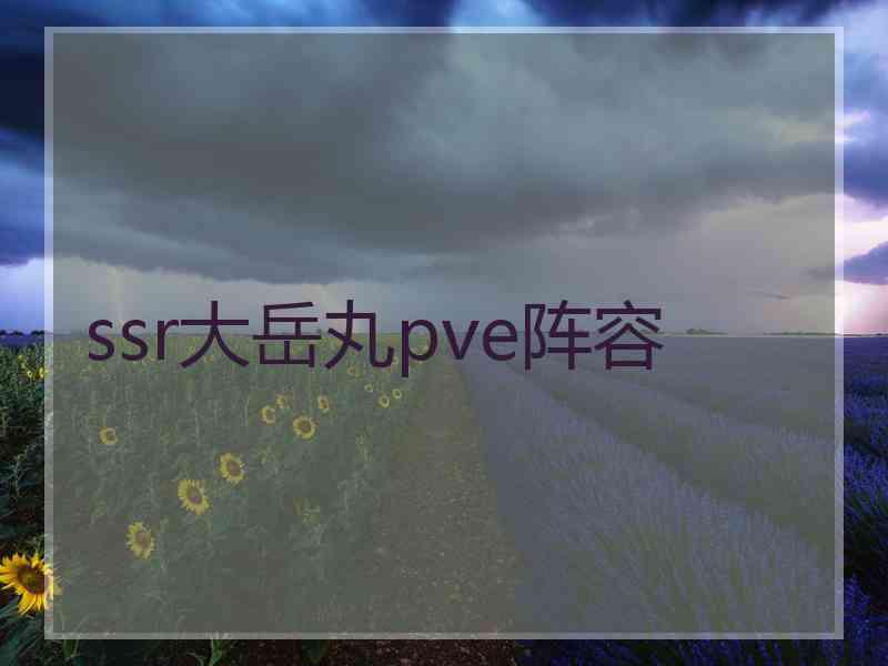 ssr大岳丸pve阵容