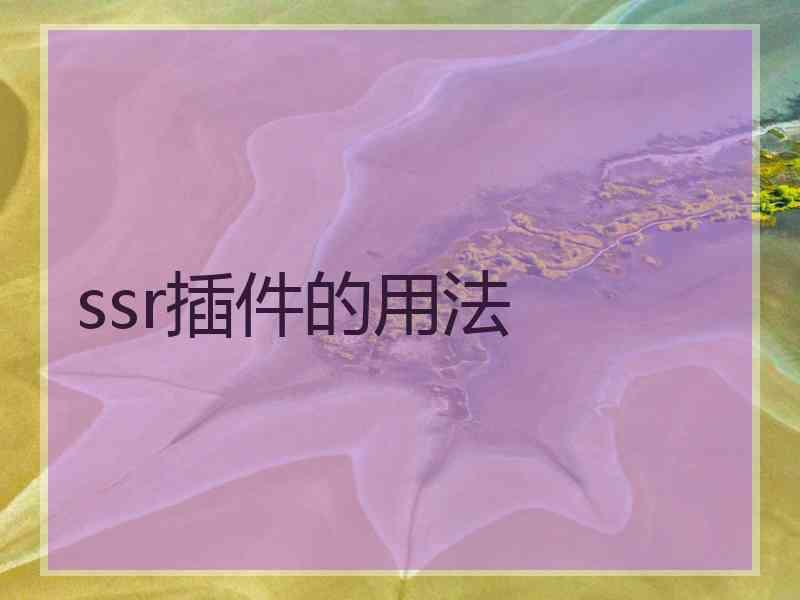 ssr插件的用法