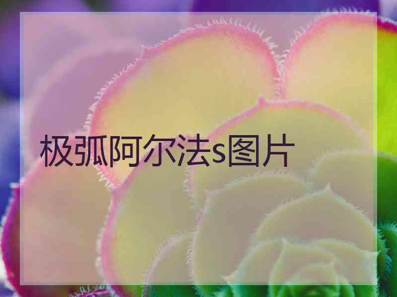 极弧阿尔法s图片