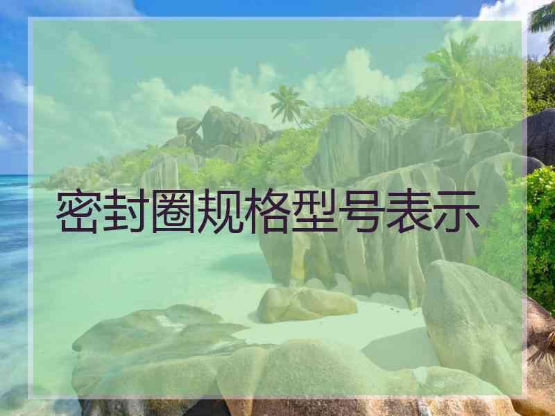 密封圈规格型号表示