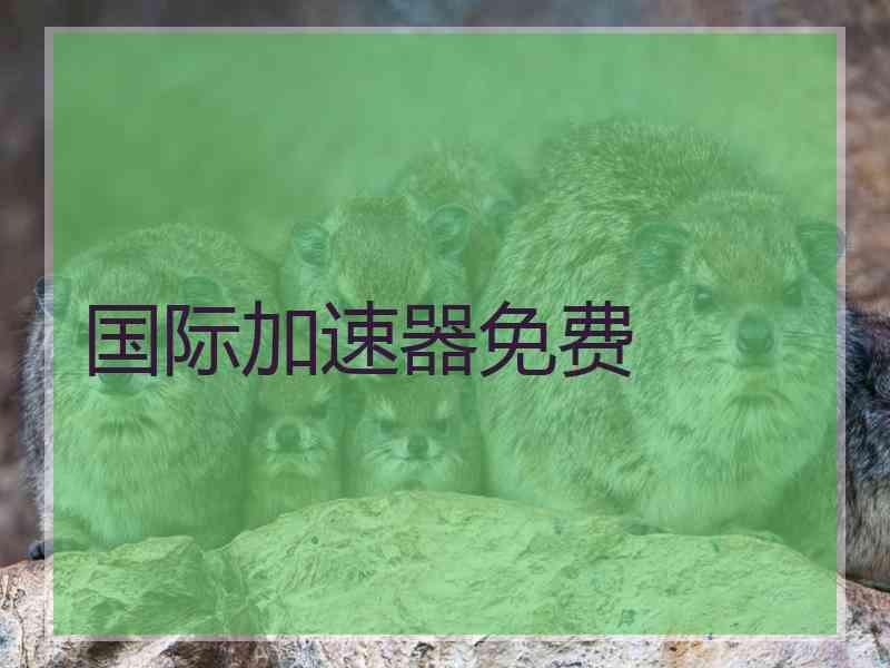 国际加速器免费