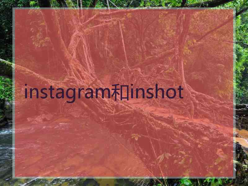 instagram和inshot
