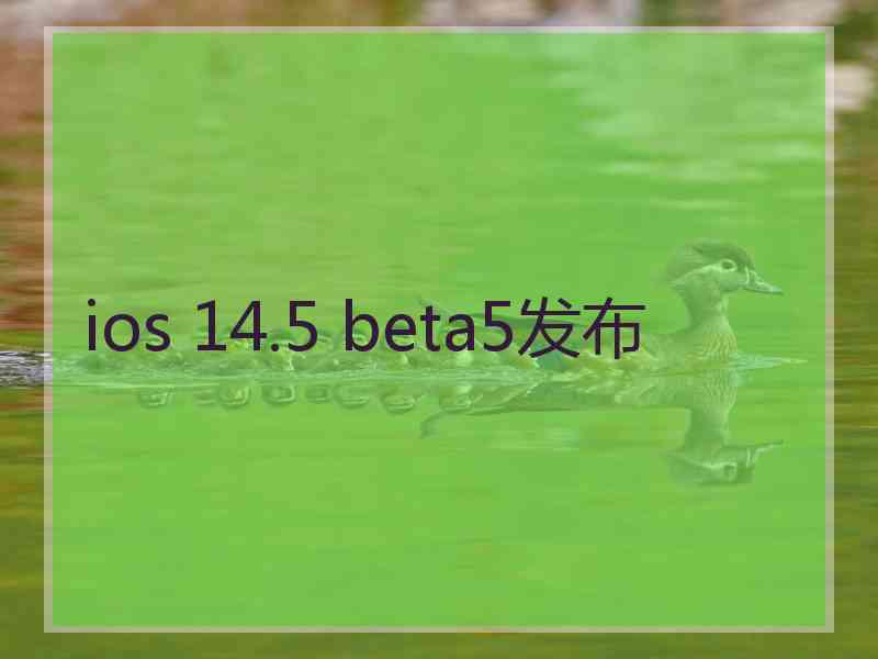 ios 14.5 beta5发布
