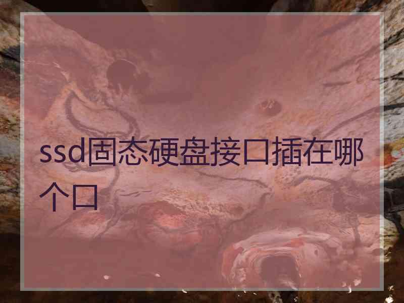 ssd固态硬盘接口插在哪个口