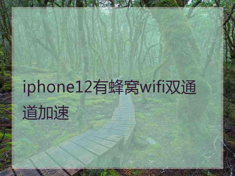 iphone12有蜂窝wifi双通道加速