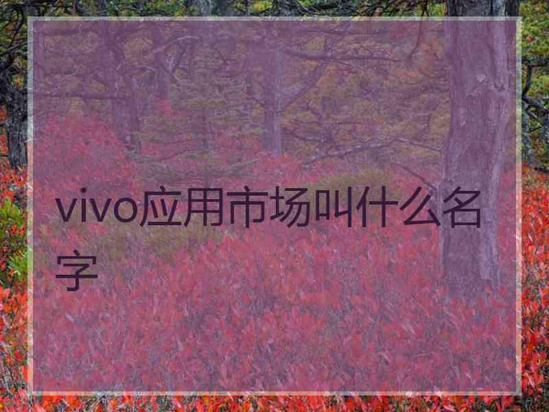 vivo应用市场叫什么名字