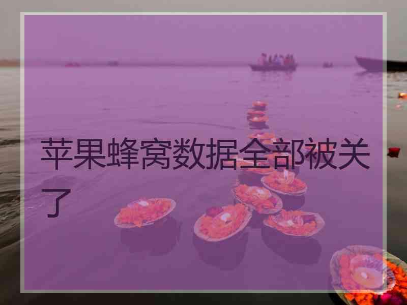 苹果蜂窝数据全部被关了