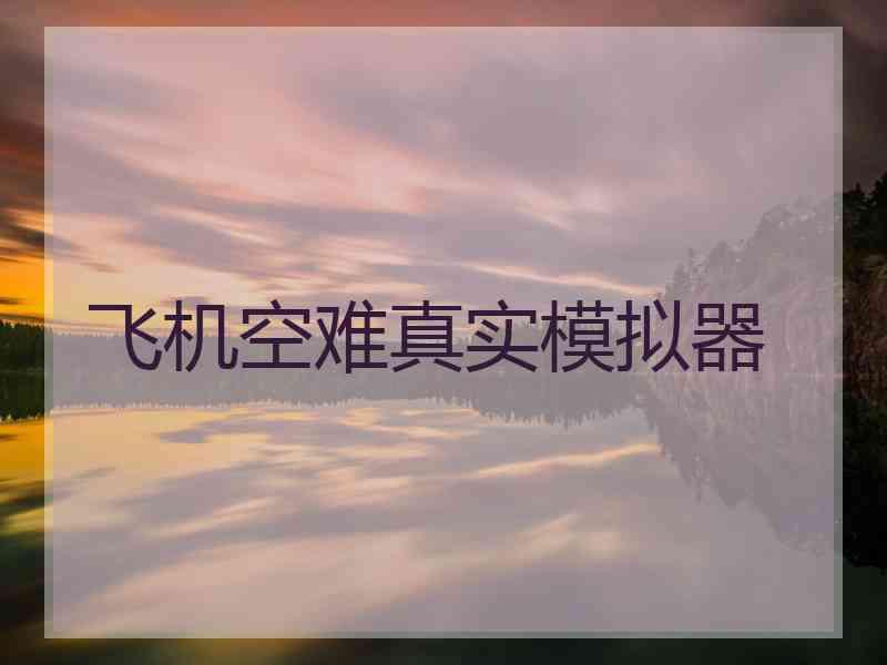 飞机空难真实模拟器