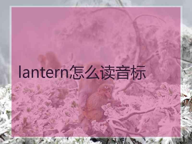 lantern怎么读音标