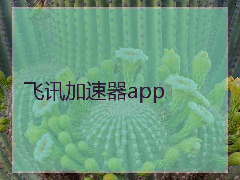 飞讯加速器app