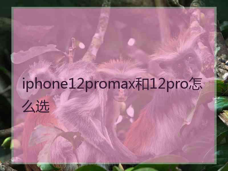 iphone12promax和12pro怎么选