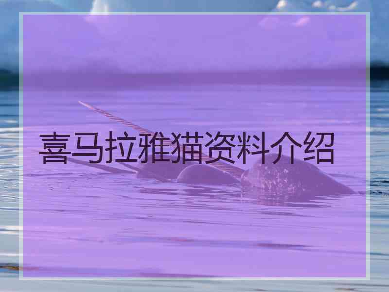 喜马拉雅猫资料介绍