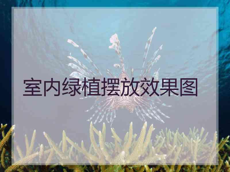室内绿植摆放效果图