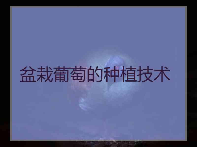 盆栽葡萄的种植技术