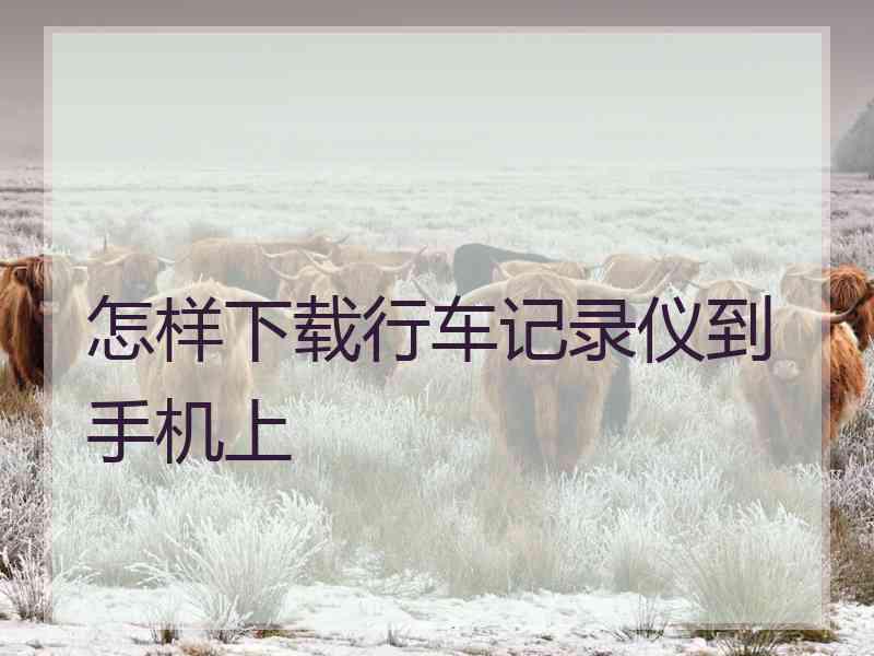 怎样下载行车记录仪到手机上