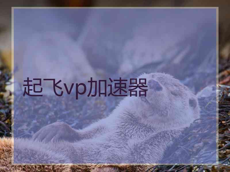起飞vp加速器