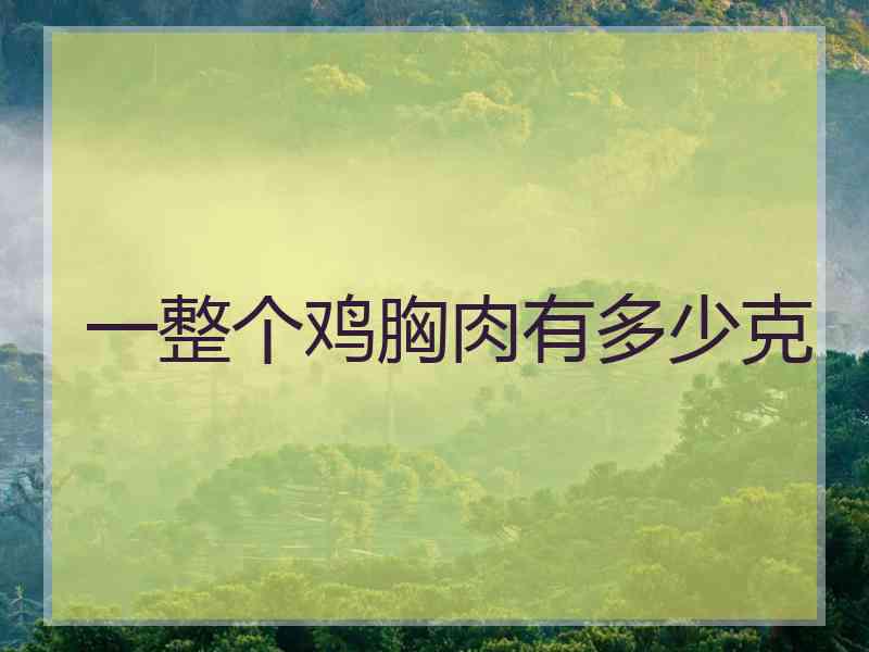 一整个鸡胸肉有多少克
