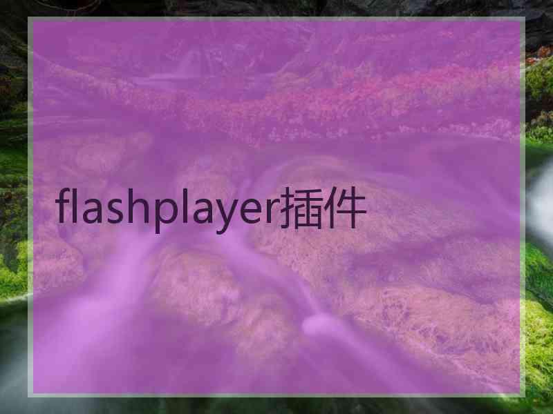 flashplayer插件
