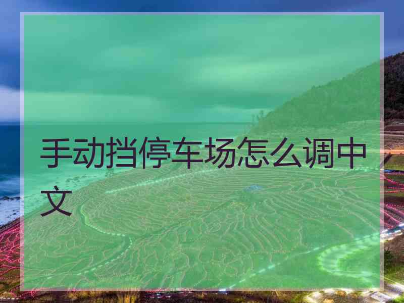 手动挡停车场怎么调中文