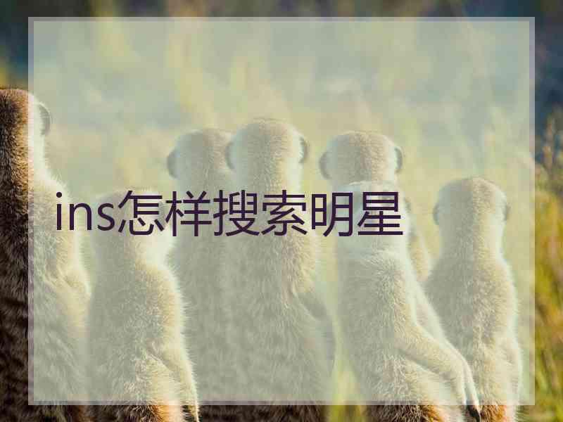 ins怎样搜索明星