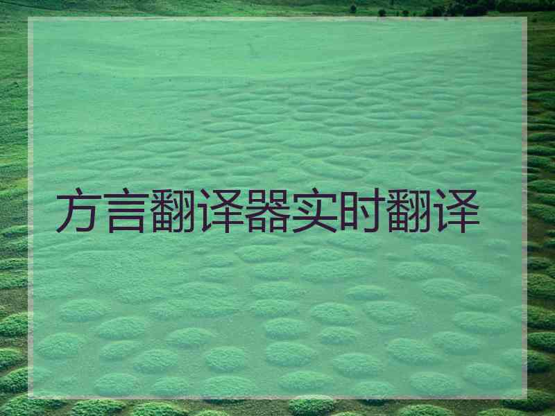 方言翻译器实时翻译