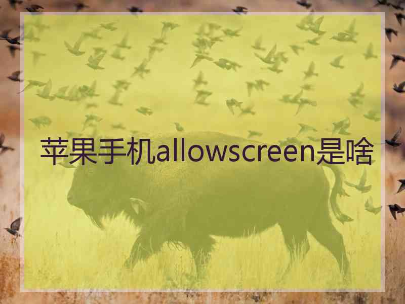 苹果手机allowscreen是啥