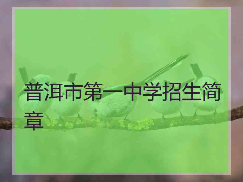 普洱市第一中学招生简章