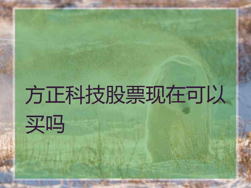 方正科技股票现在可以买吗