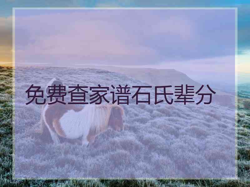 免费查家谱石氏辈分