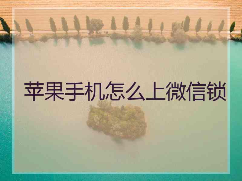 苹果手机怎么上微信锁