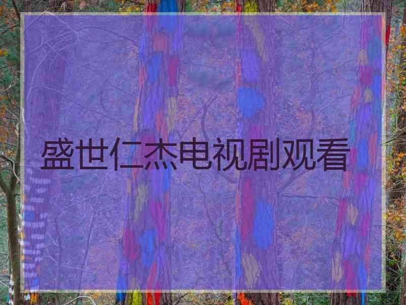 盛世仁杰电视剧观看