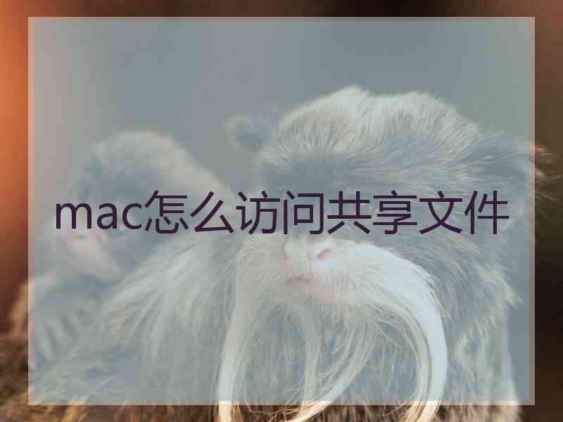mac怎么访问共享文件
