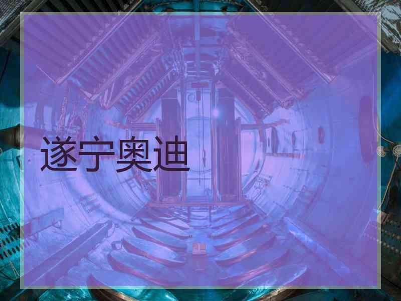 遂宁奥迪