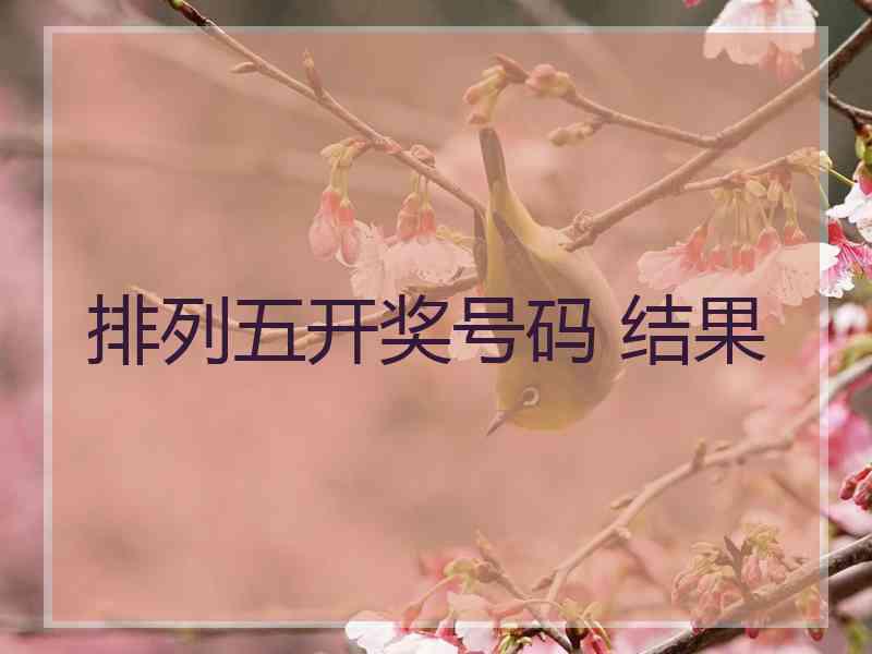 排列五开奖号码 结果