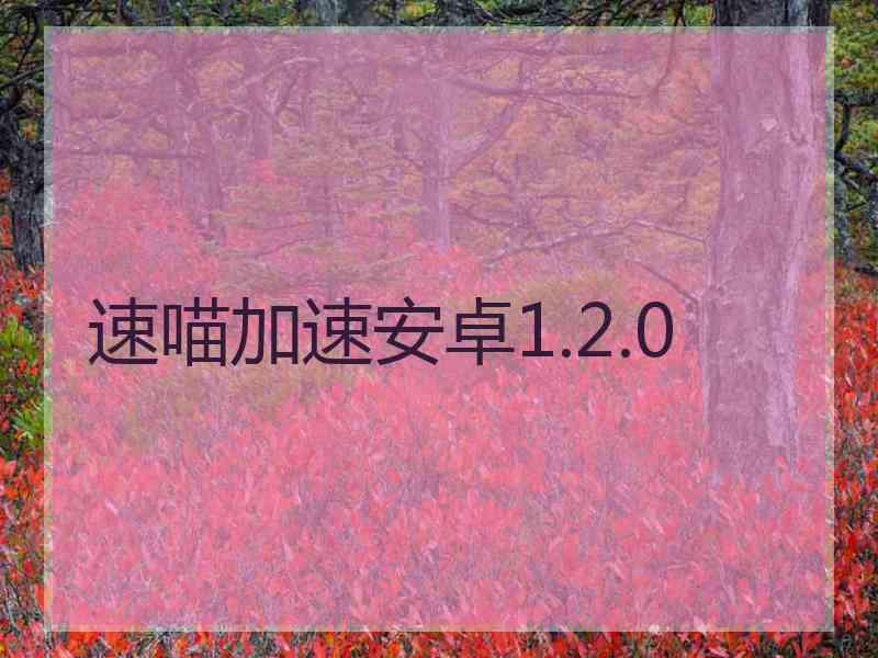 速喵加速安卓1.2.0