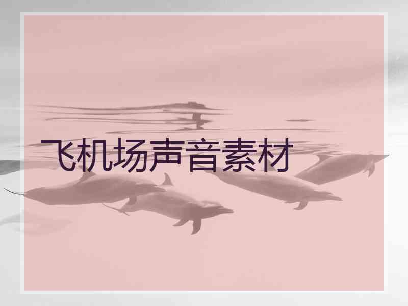 飞机场声音素材