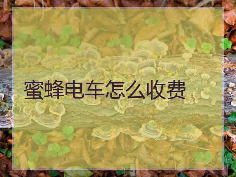 蜜蜂电车怎么收费
