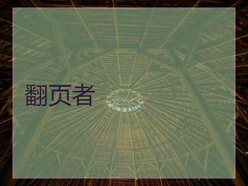 翻页者