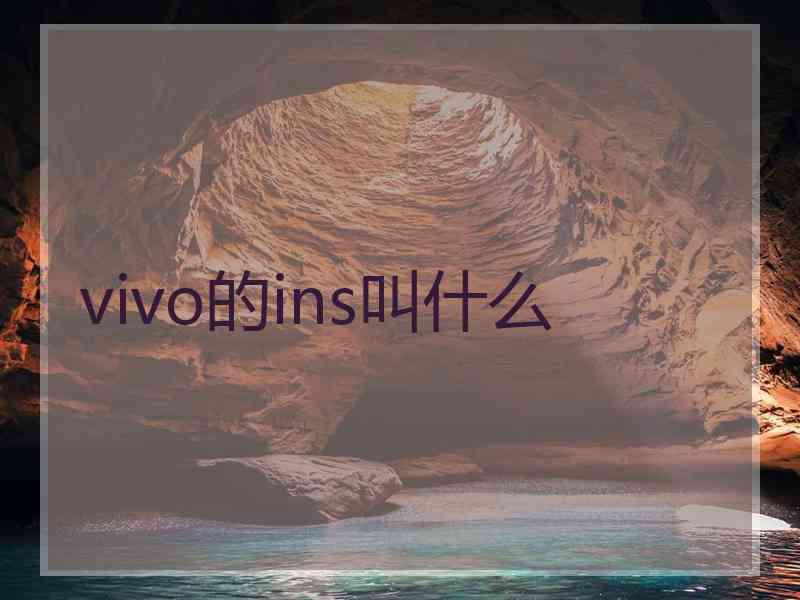 vivo的ins叫什么