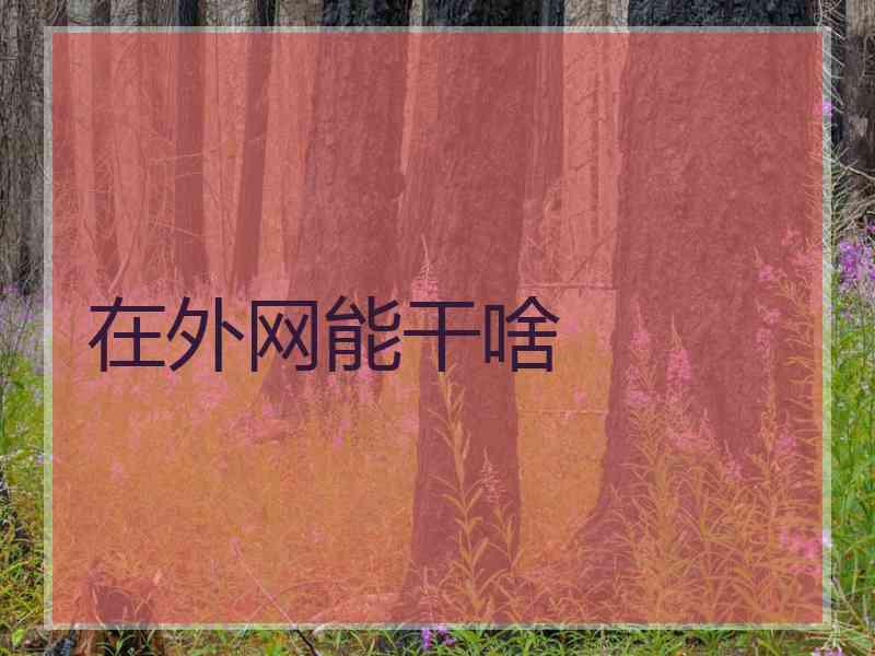 在外网能干啥