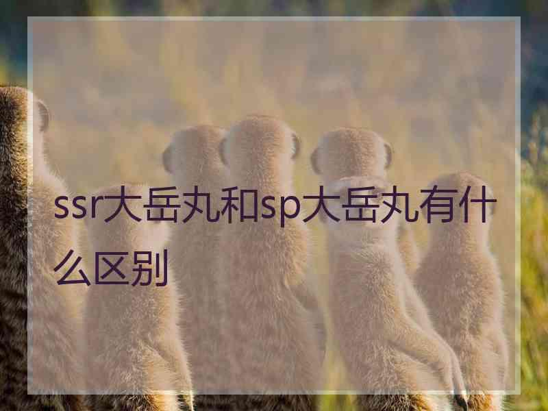 ssr大岳丸和sp大岳丸有什么区别