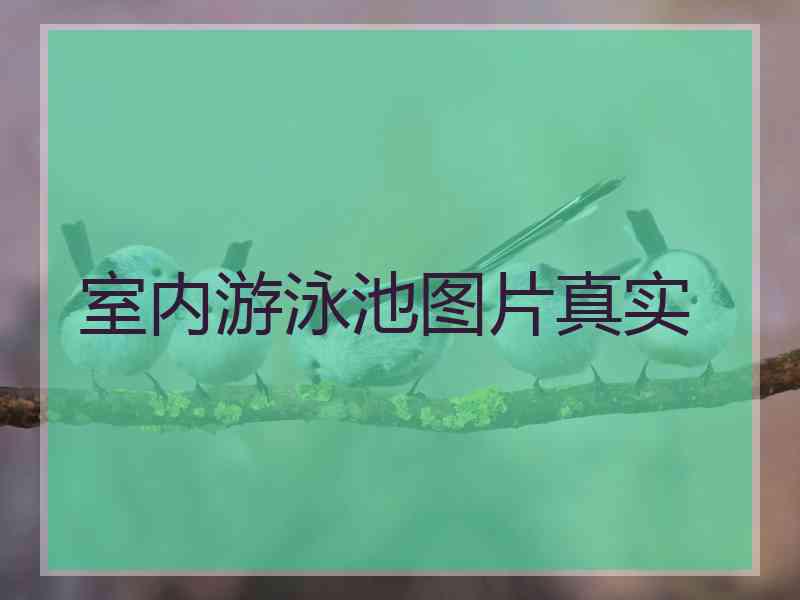 室内游泳池图片真实