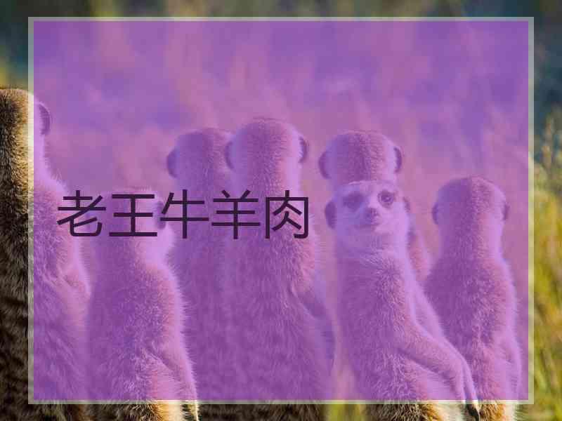 老王牛羊肉