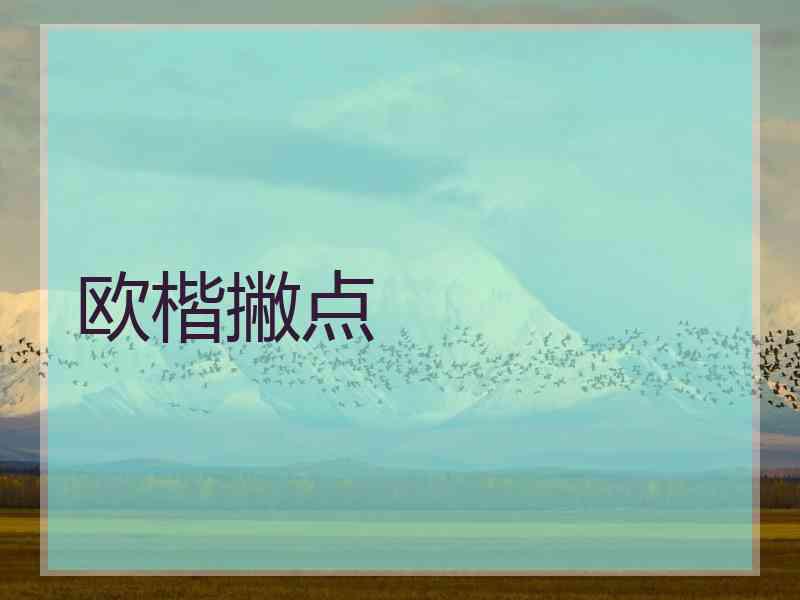 欧楷撇点