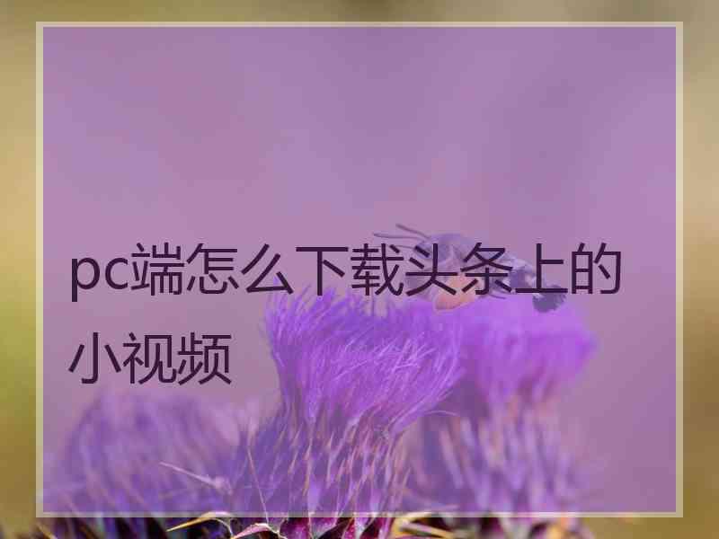 pc端怎么下载头条上的小视频