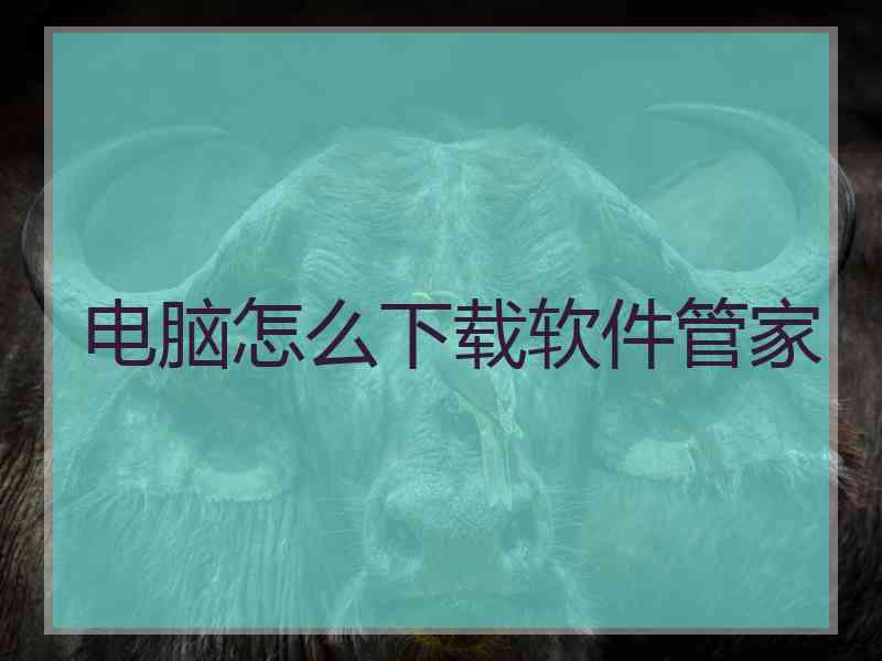 电脑怎么下载软件管家