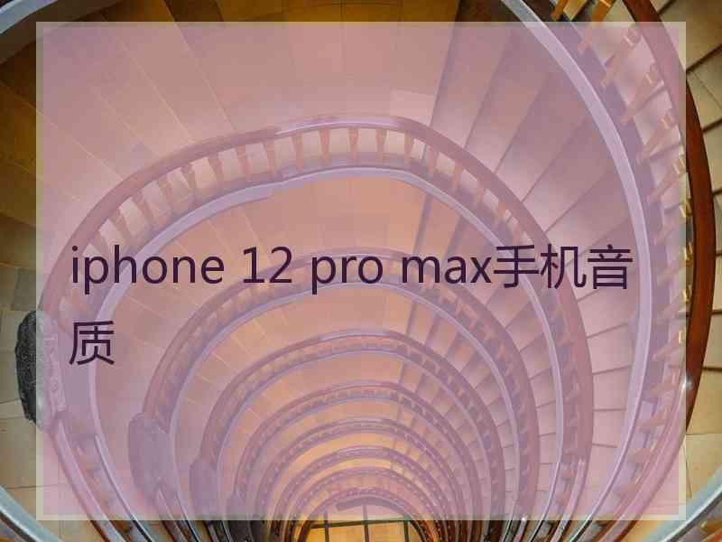 iphone 12 pro max手机音质