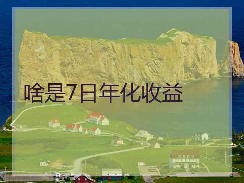 啥是7日年化收益