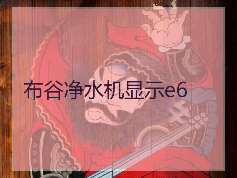 布谷净水机显示e6